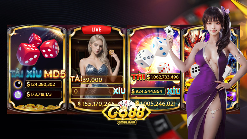Banner www.frankc.vn